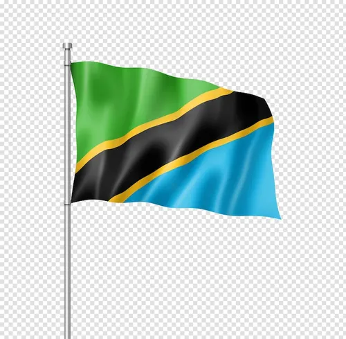 Tanzania Flag